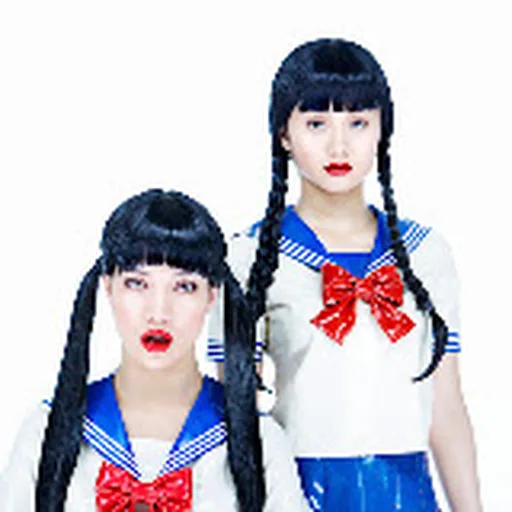 FEMM