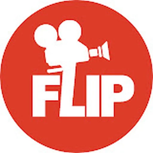 Flip Skateboards