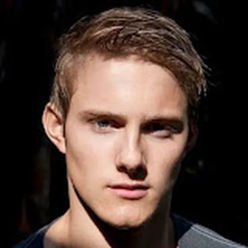 Alexander Ludwig