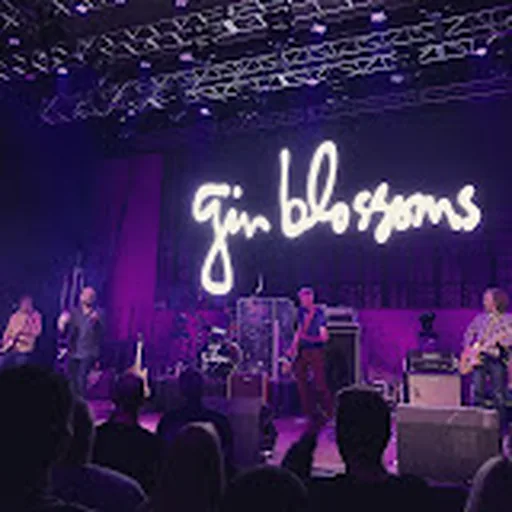 Gin Blossoms