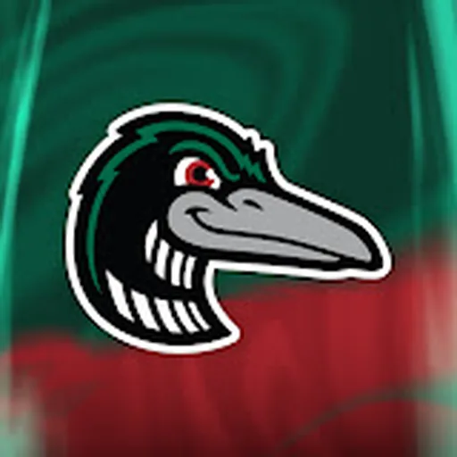 Great Lakes Loons