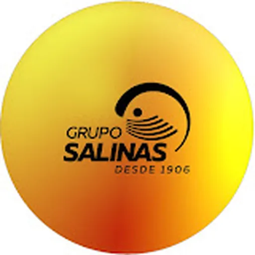 Grupo Salinas