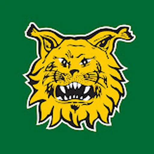 Ilves