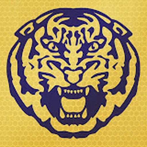 LSU Tigers men's basketball