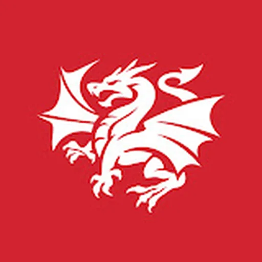 St. George Illawarra Dragons