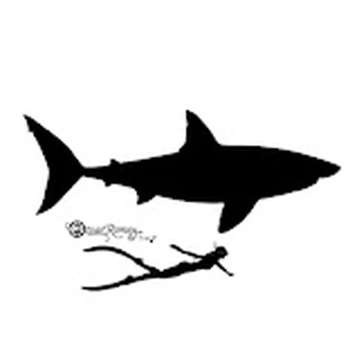 Ocean Ramsey
