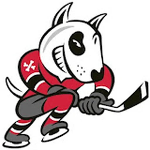 Niagara IceDogs