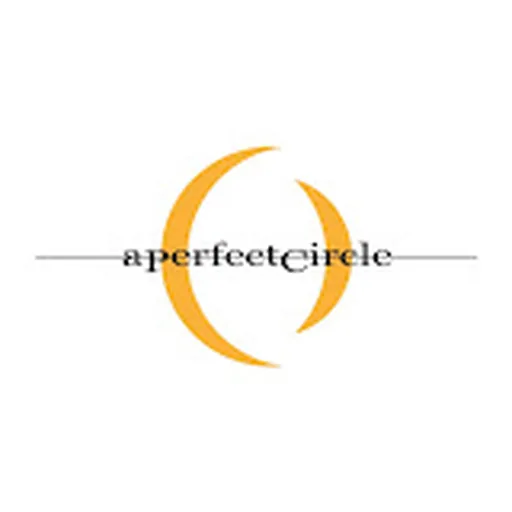 A Perfect Circle