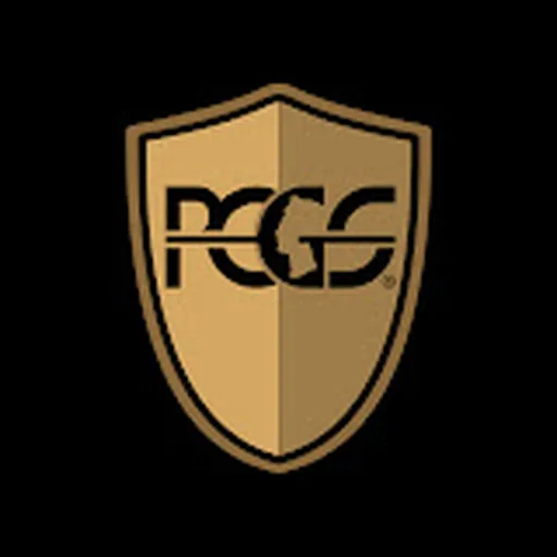 Professional Coin Grading Service