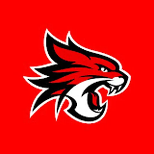 Perth Wildcats
