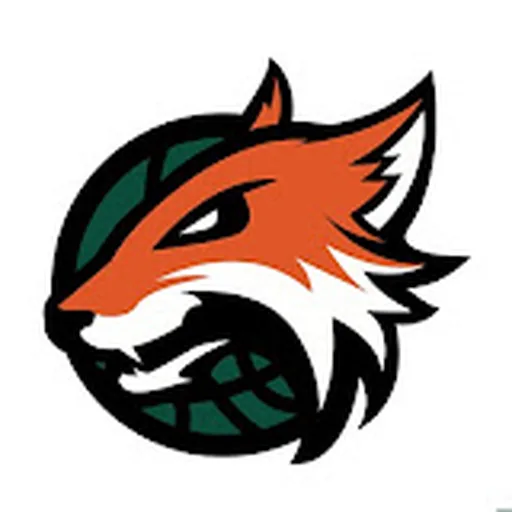 Plymouth Raiders