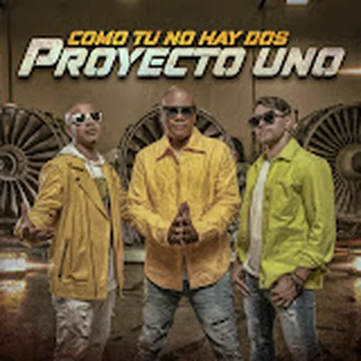 Proyecto Uno