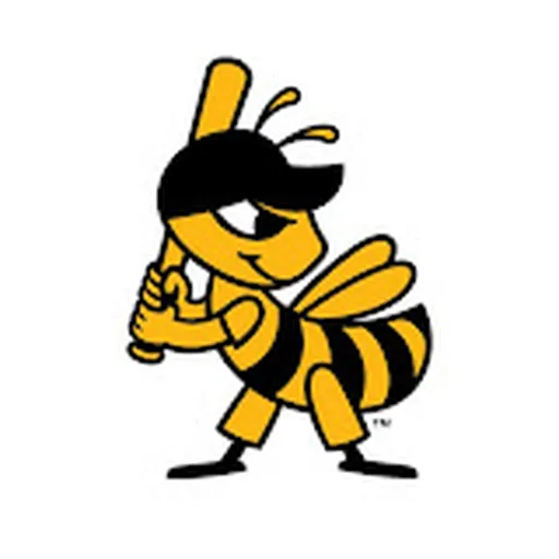 Salt Lake Bees