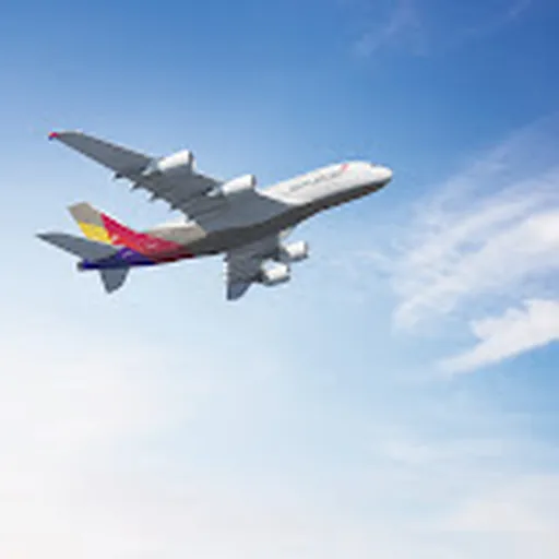 Asiana Airlines