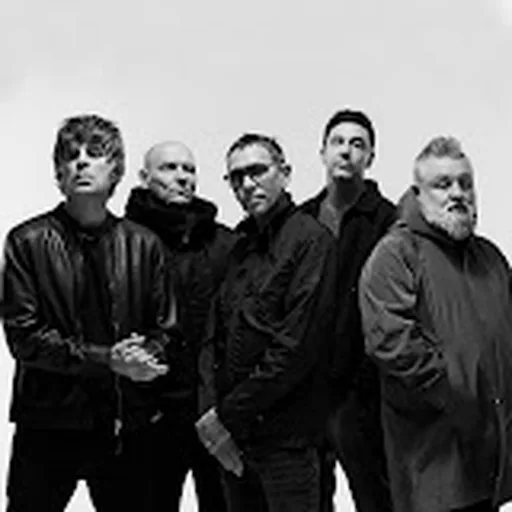 Shed Seven