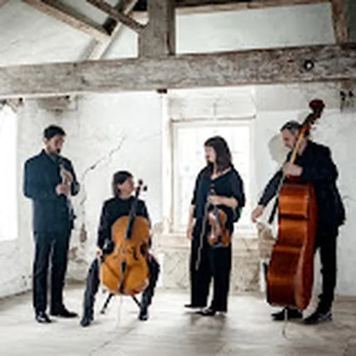 Sinfonia ViVA