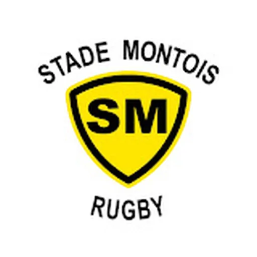 Stade Montois