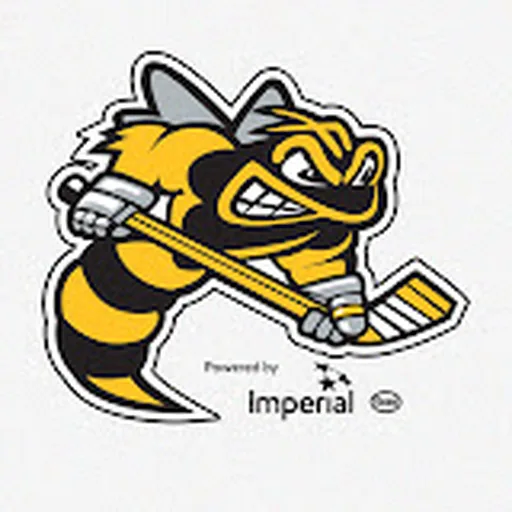 Sarnia Sting