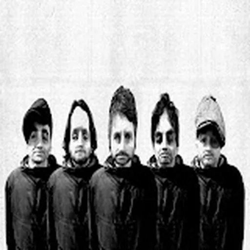 Super Furry Animals