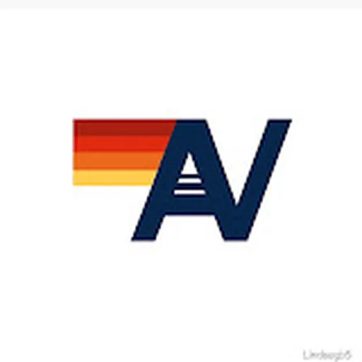 Aviator Nation