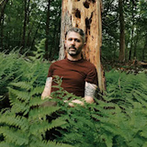 The Antlers