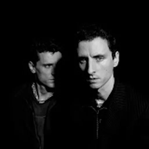 These New Puritans
