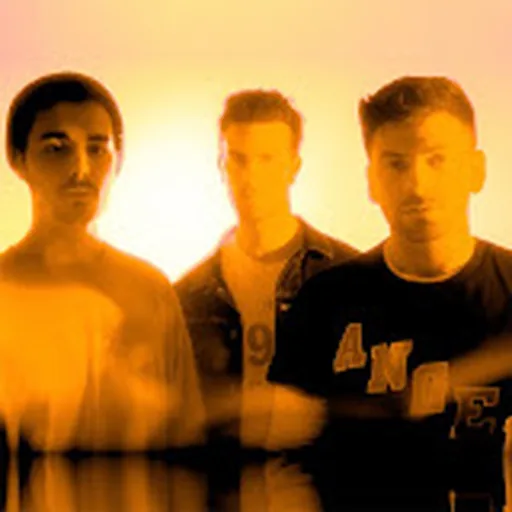 The Shadowboxers