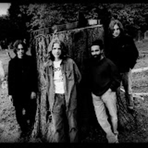 The Wytches