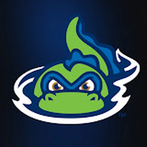 Vermont Lake Monsters