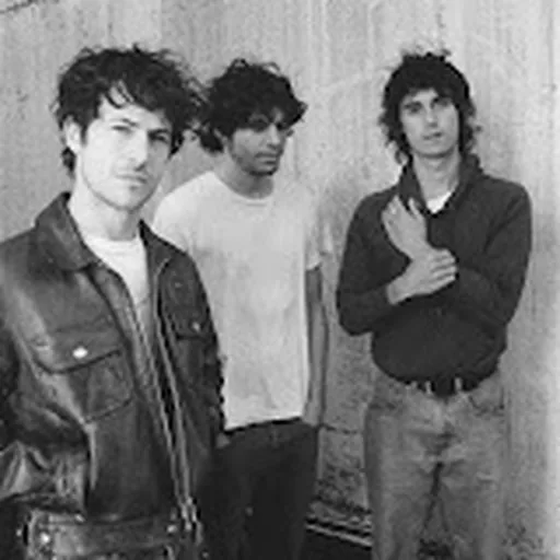 Wallows