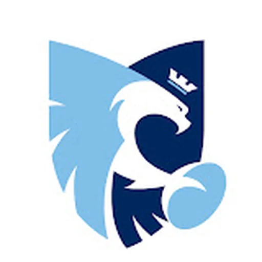 Bedford Blues