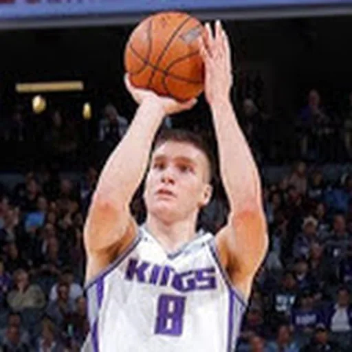 Bogdan Bogdanović