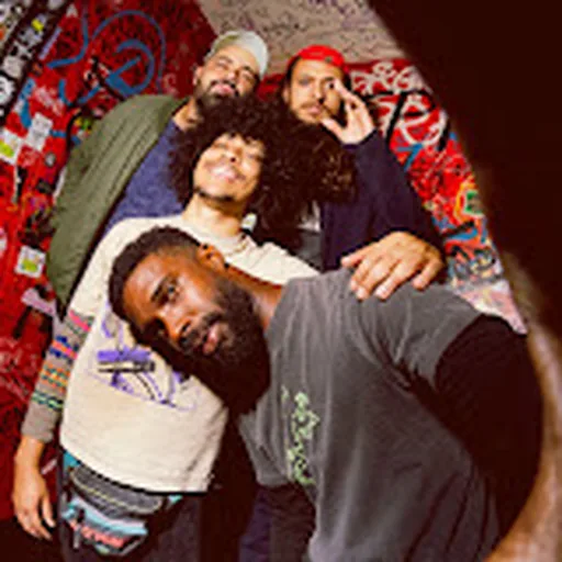 Boogarins