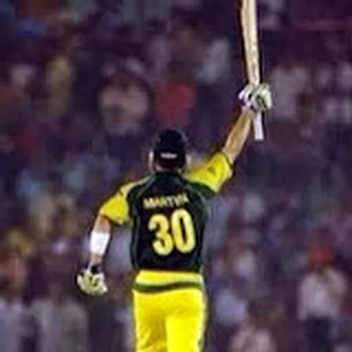 Damien Martyn