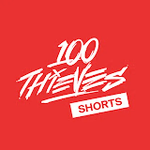 100 Thieves
