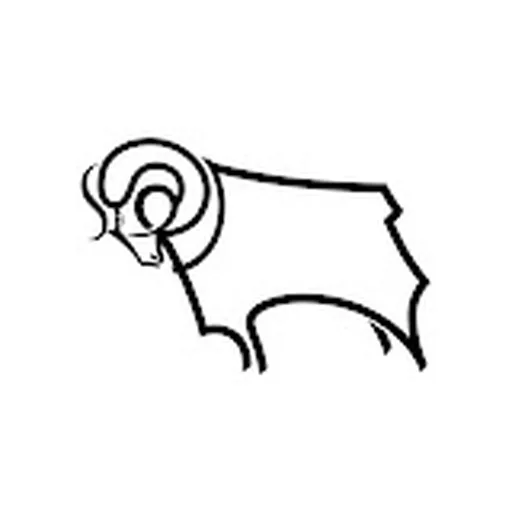 Derby County F.C.