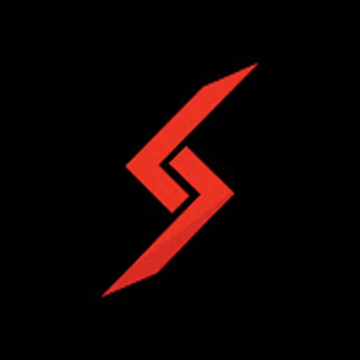 Digital Storm Online, Inc.
