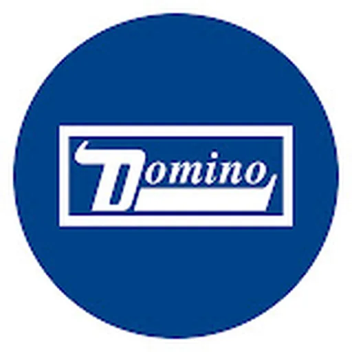 Domino Recording Company