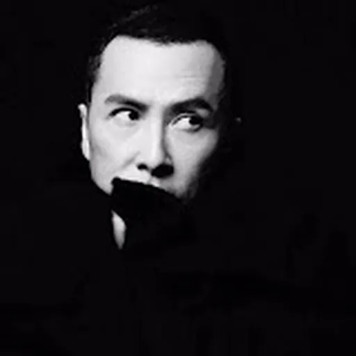 Donnie Yen