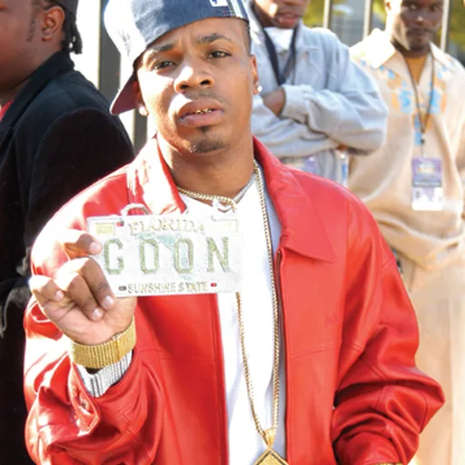 Plies