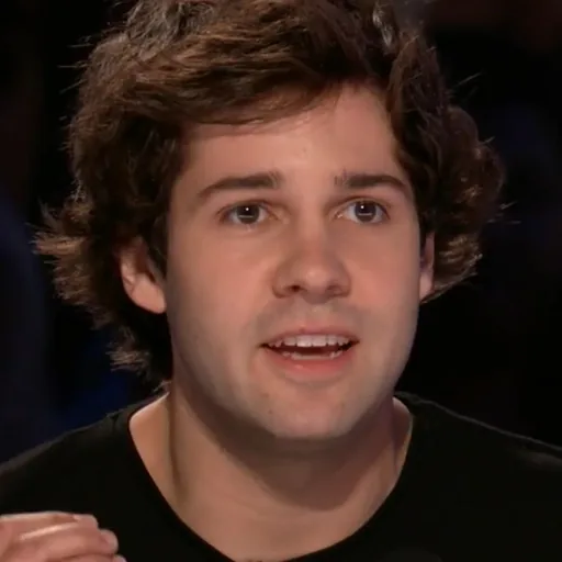 David Dobrik