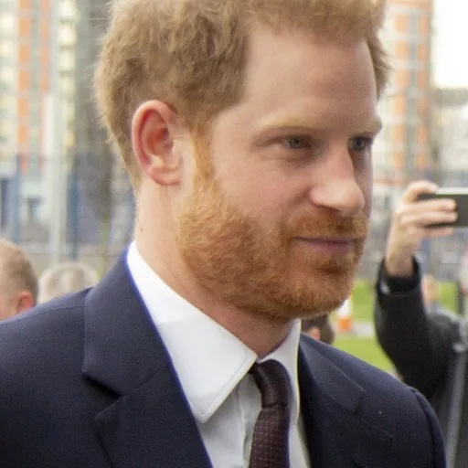 Prince Harry, Duke of Sussex