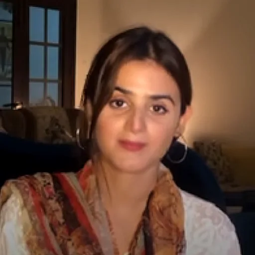 Hira Mani