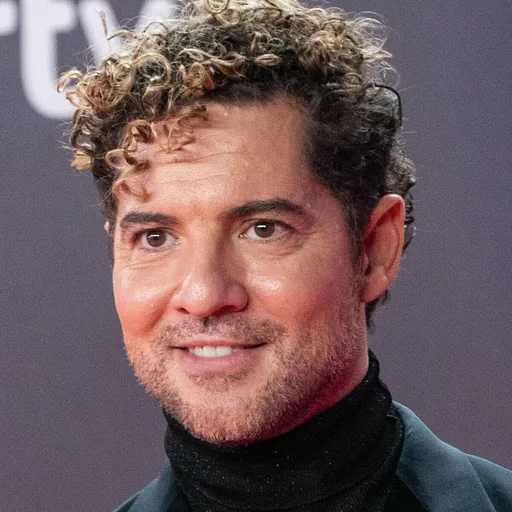 David Bisbal