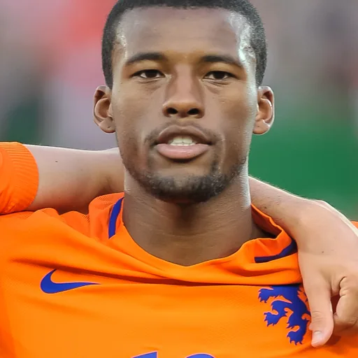 Georginio Wijnaldum