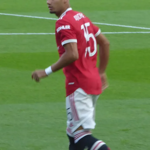 Andreas Pereira