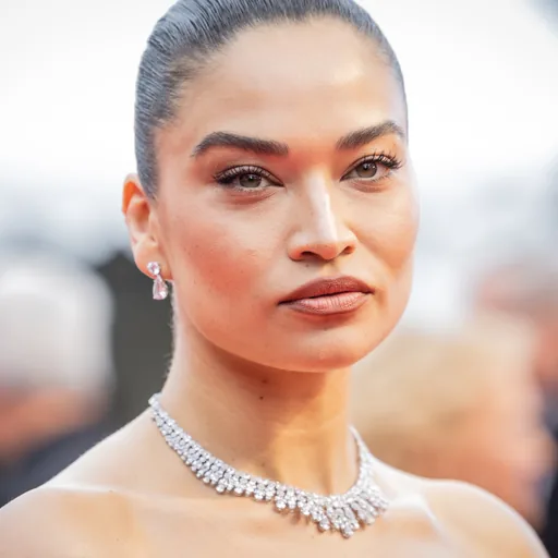 Shanina Shaik