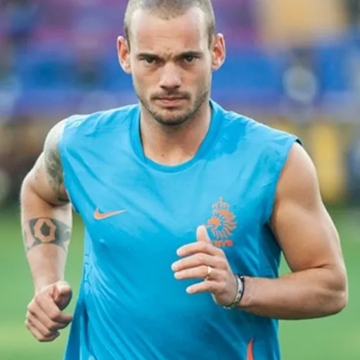 Wesley Sneijder