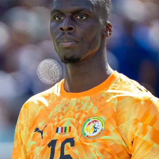 Édouard Mendy