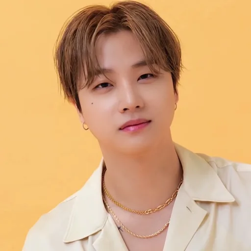 Kim Jin-hwan